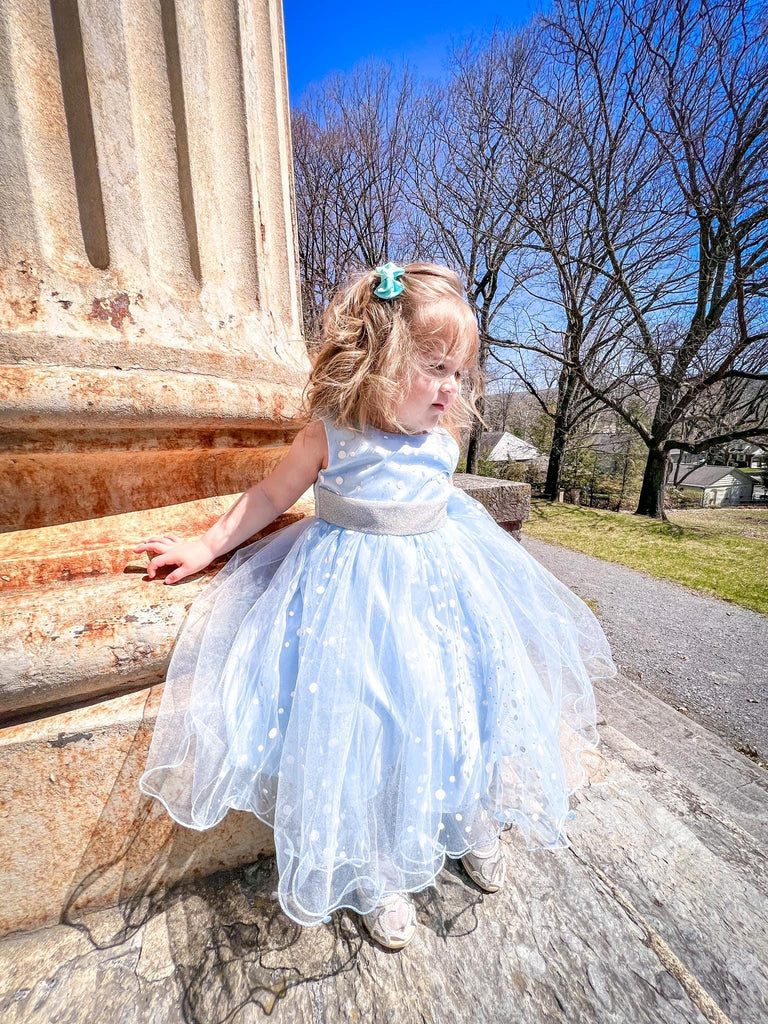 Emily Dress. Blue – What A Princess LLC